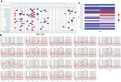 Validation and analysis of expression, prognosis and immune infiltration of WNT gene family in non-small cell lung cancer